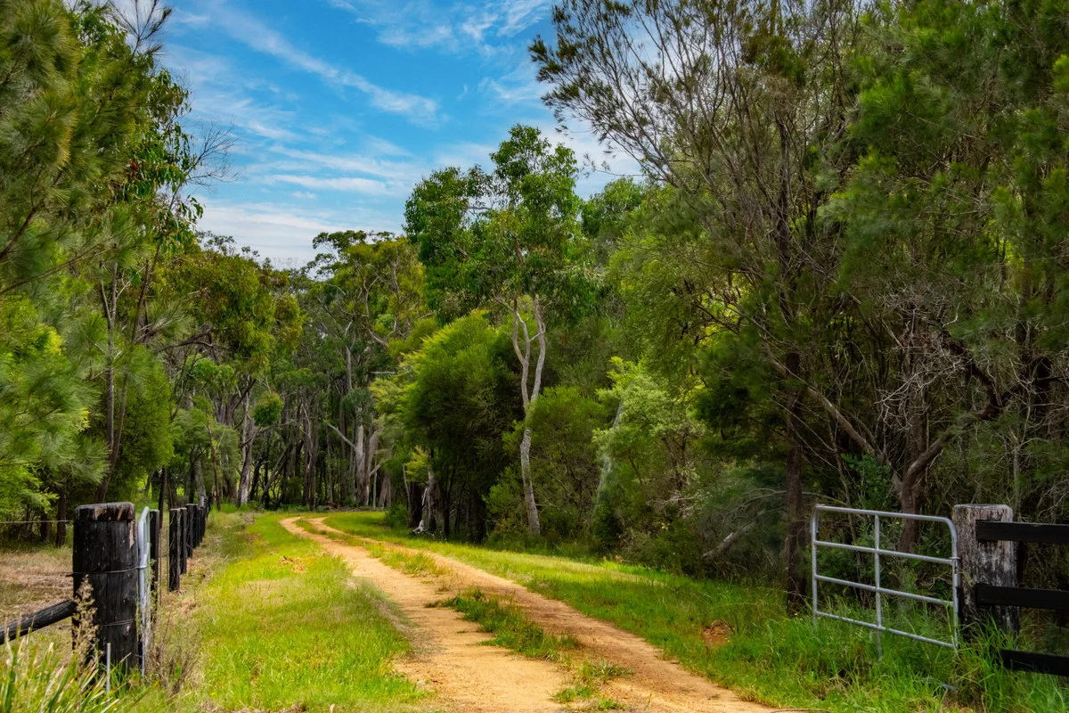 Additional image 6 of 25 Goldsmith Road, Somersby NSW 2250