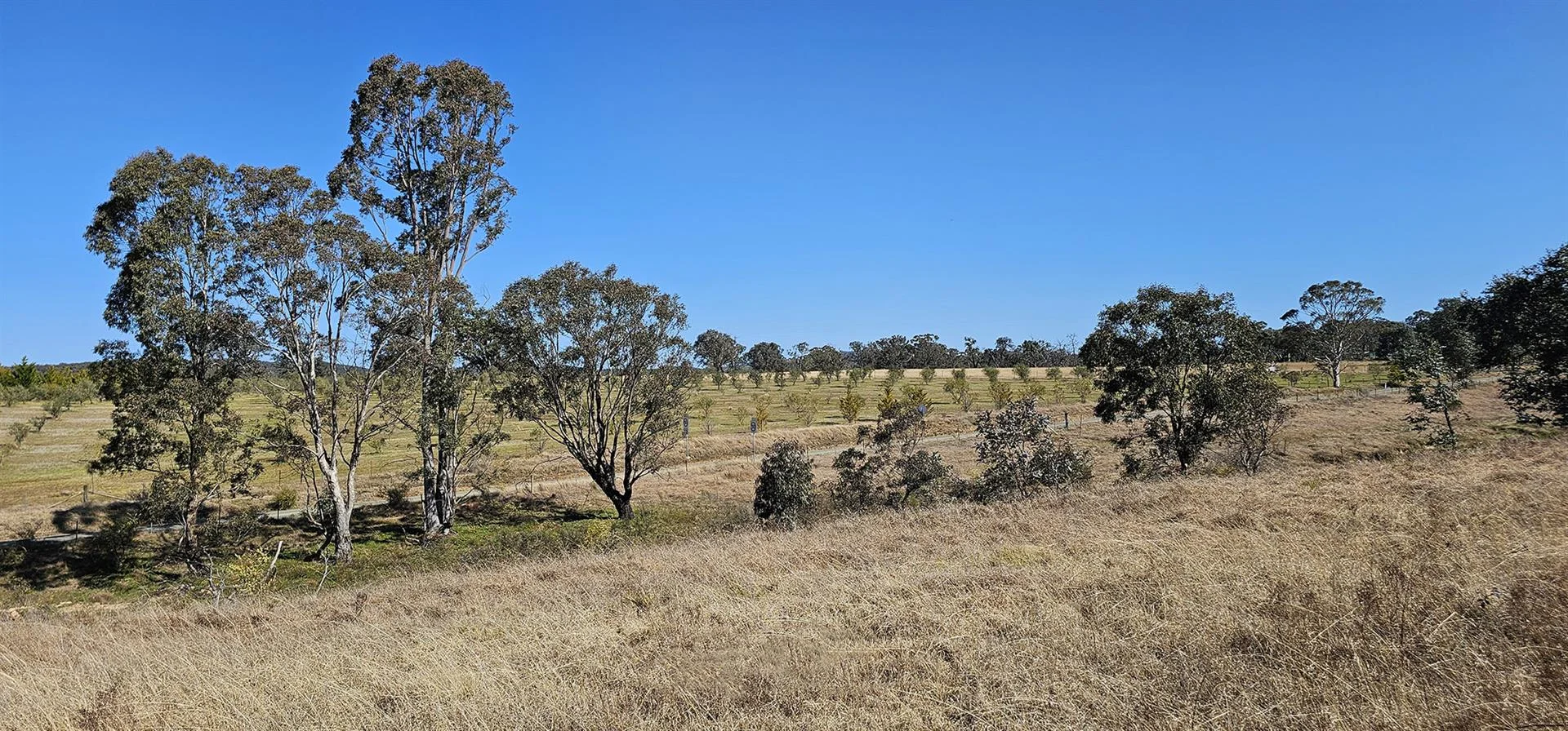 Additional image 21 of 44 Mills Road, Towrang NSW 2580