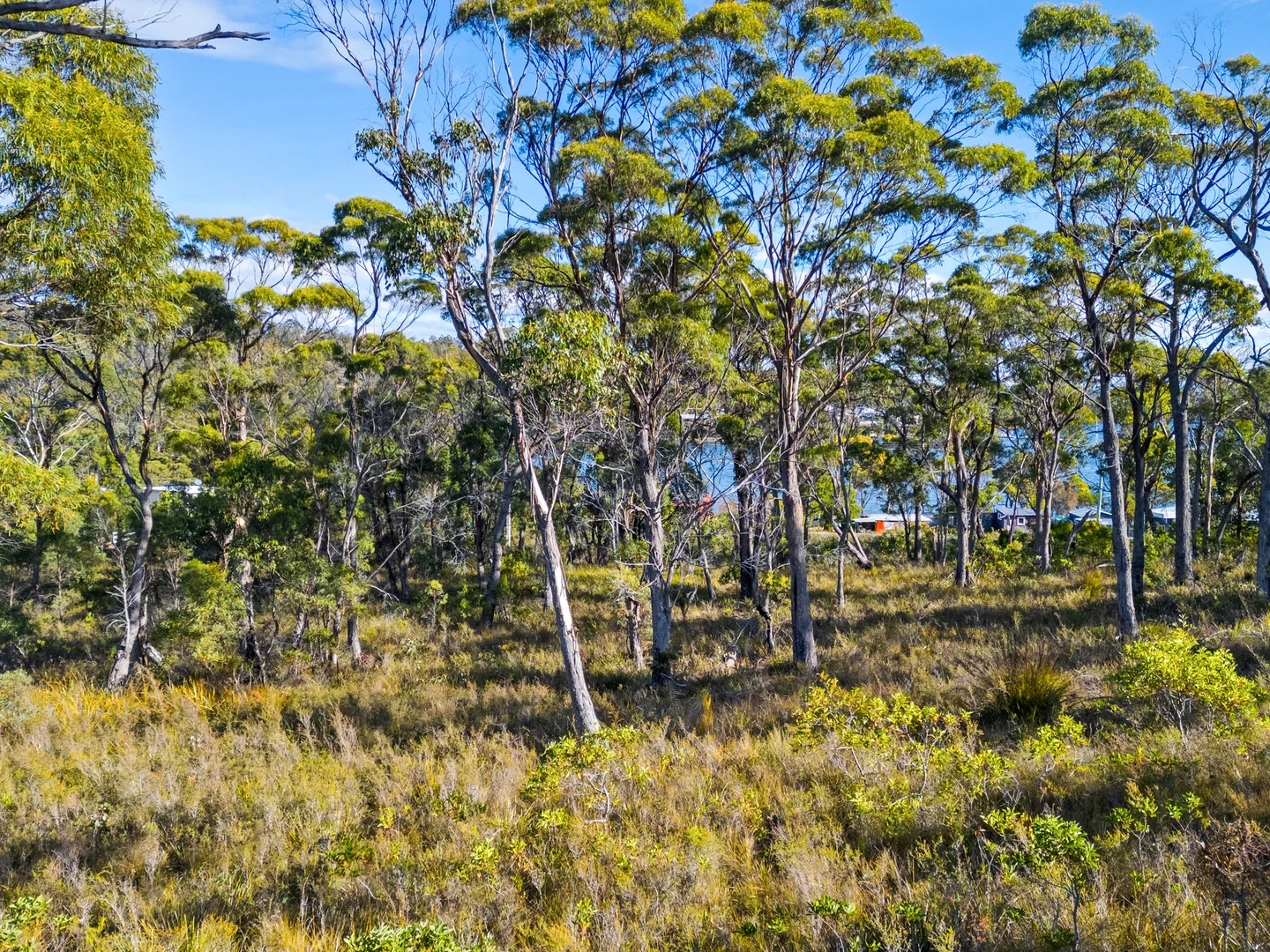 Additional image 14 of 4017 Arthur Highway, Murdunna TAS 7178