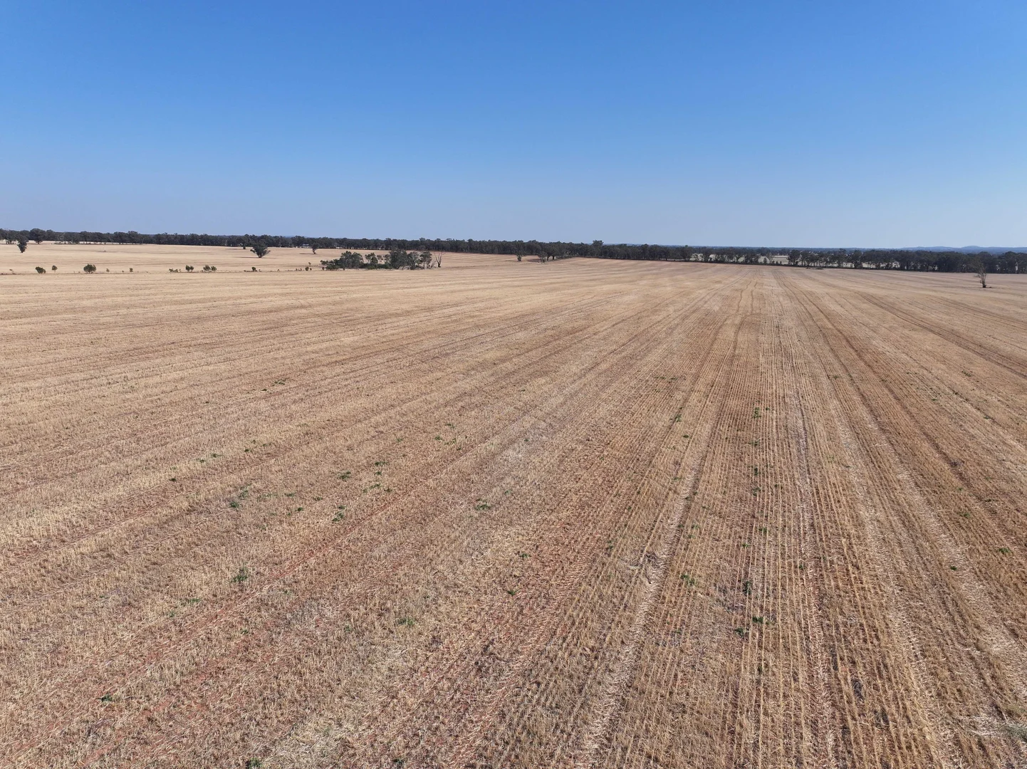 Additional image 8 of 'Wattlevale' 875 Schmidts Lane, Gidginbung NSW 2666