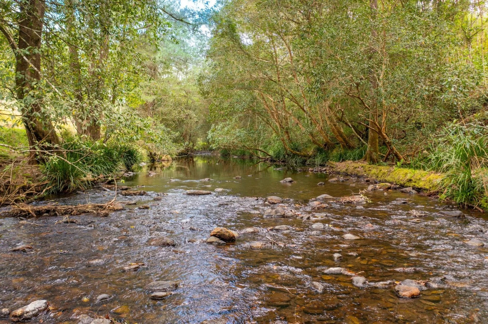 Additional image 2 of Lot 24 209 Tobins River Road, Mount Seaview NSW 2446