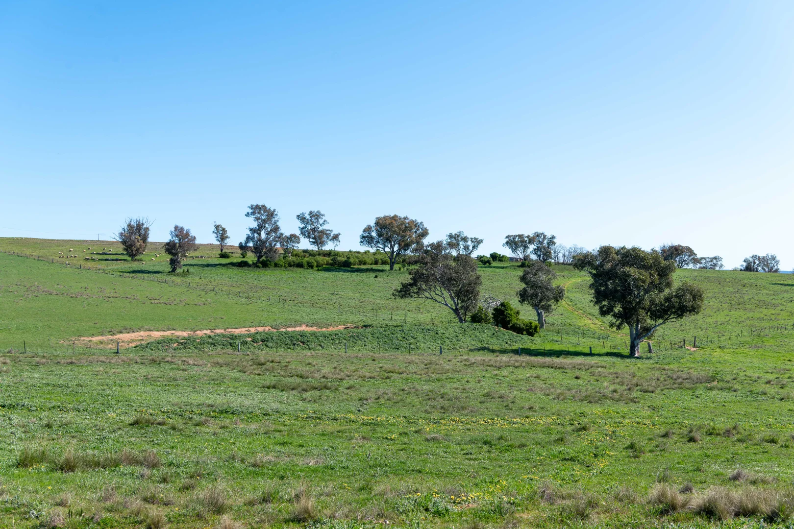 Additional image 7 of LOT 48 Long Street, Boorowa NSW 2586