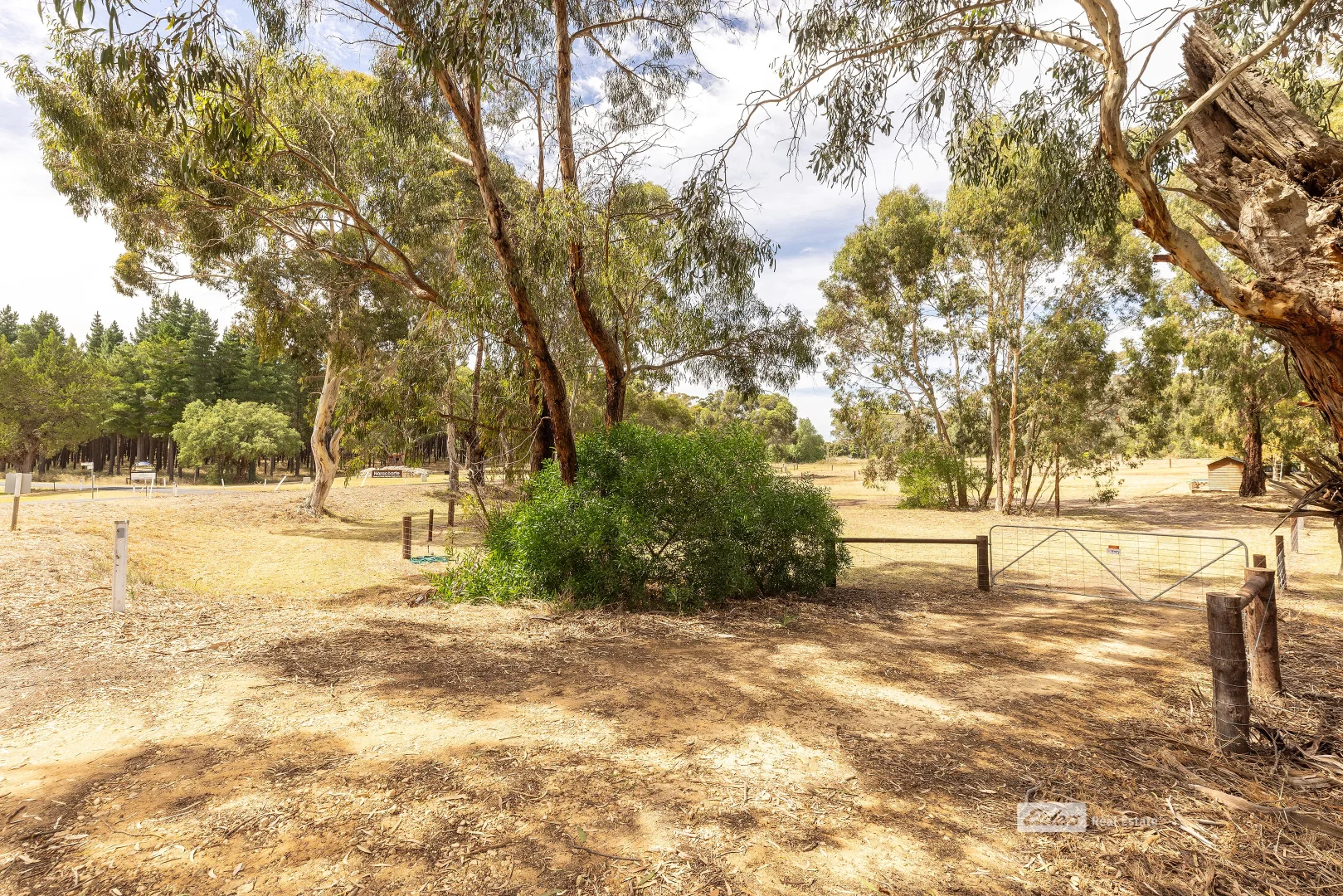 Additional image 5 of 22 Stewart Terrace, Naracoorte SA 5271