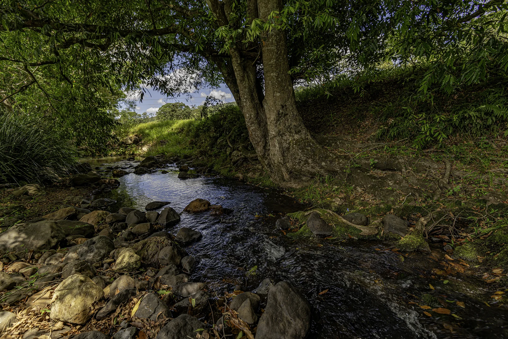 Additional image 24 of 492 River Road, Peachester QLD 4519