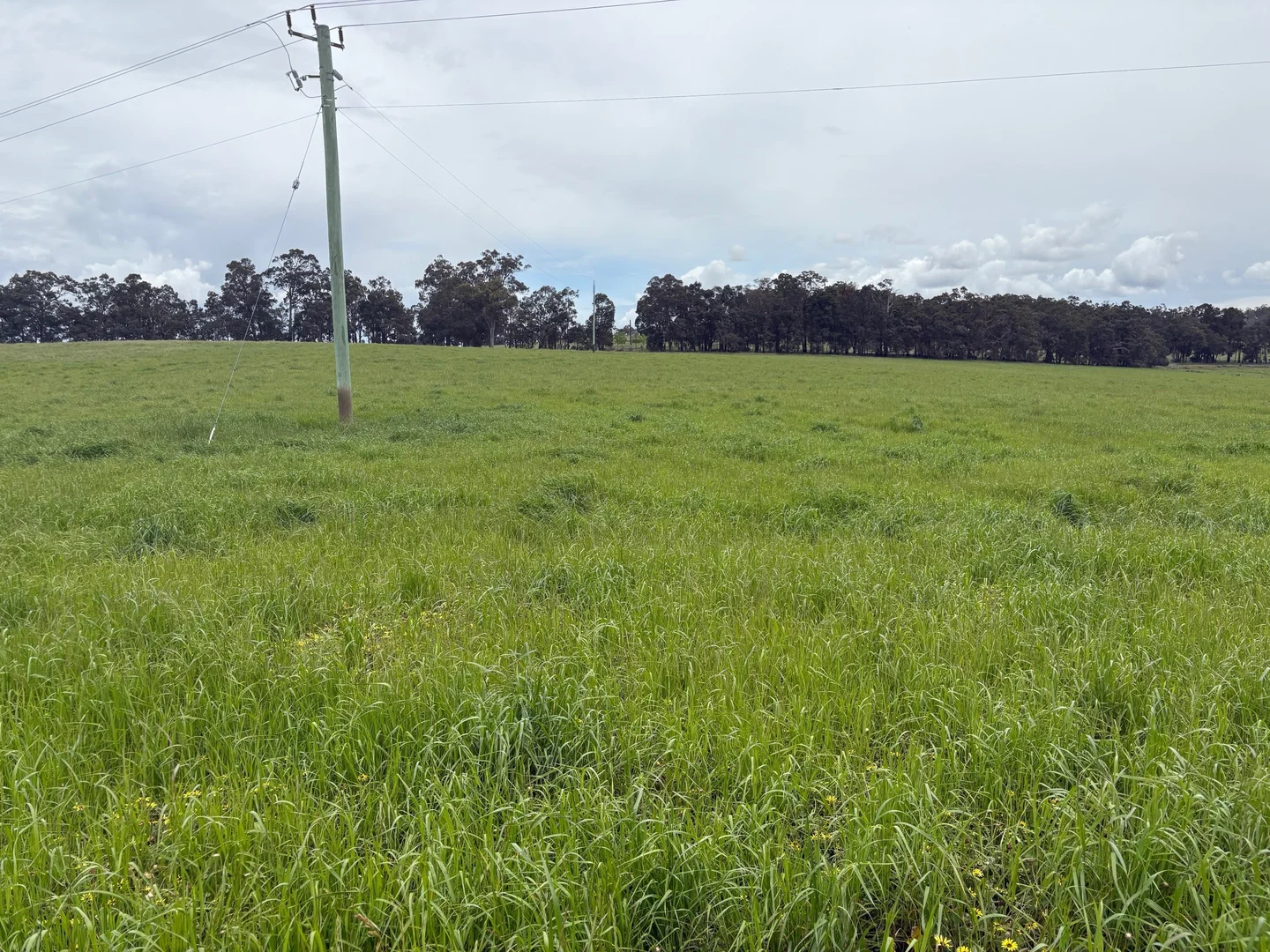 Additional image 23 of Lot 72 Beelerup Road, Beelerup WA 6239