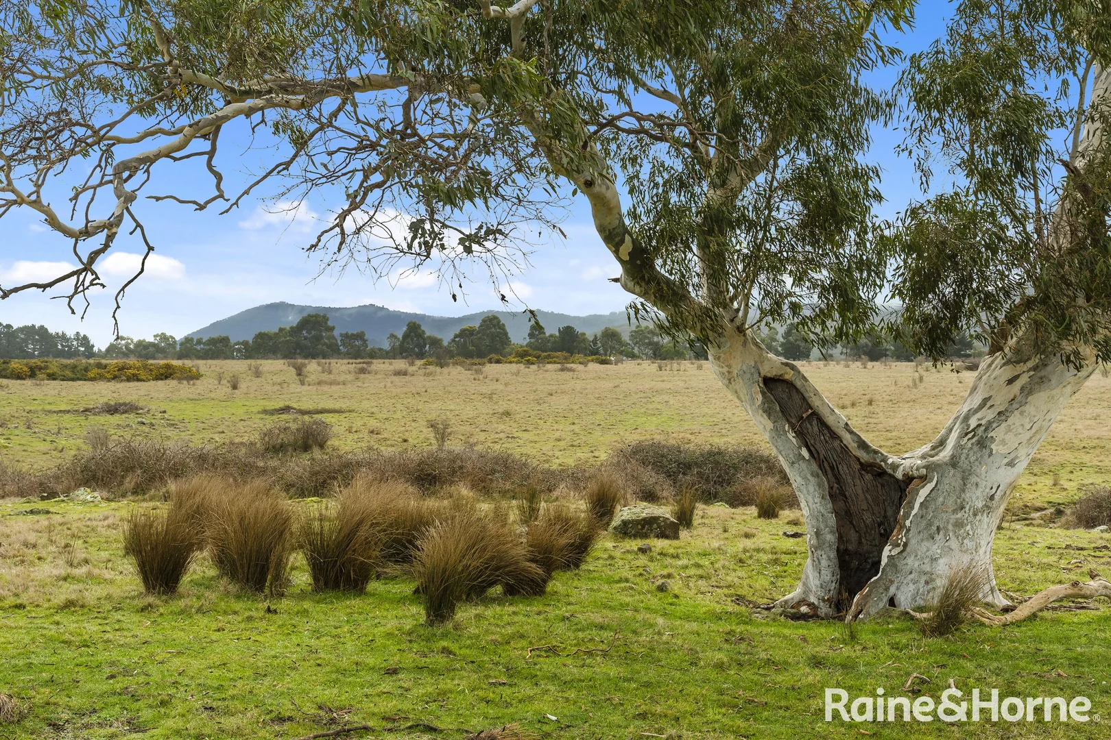 Additional image 14 of 465 Hamilton Road, New Gisborne VIC 3438