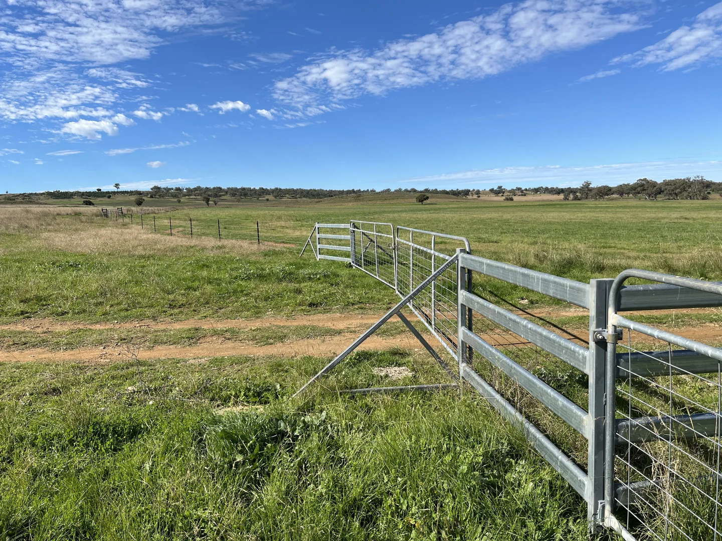 Additional image 10 of "Thirlmere" 450 Bridges Road, Gunnedah NSW 2380