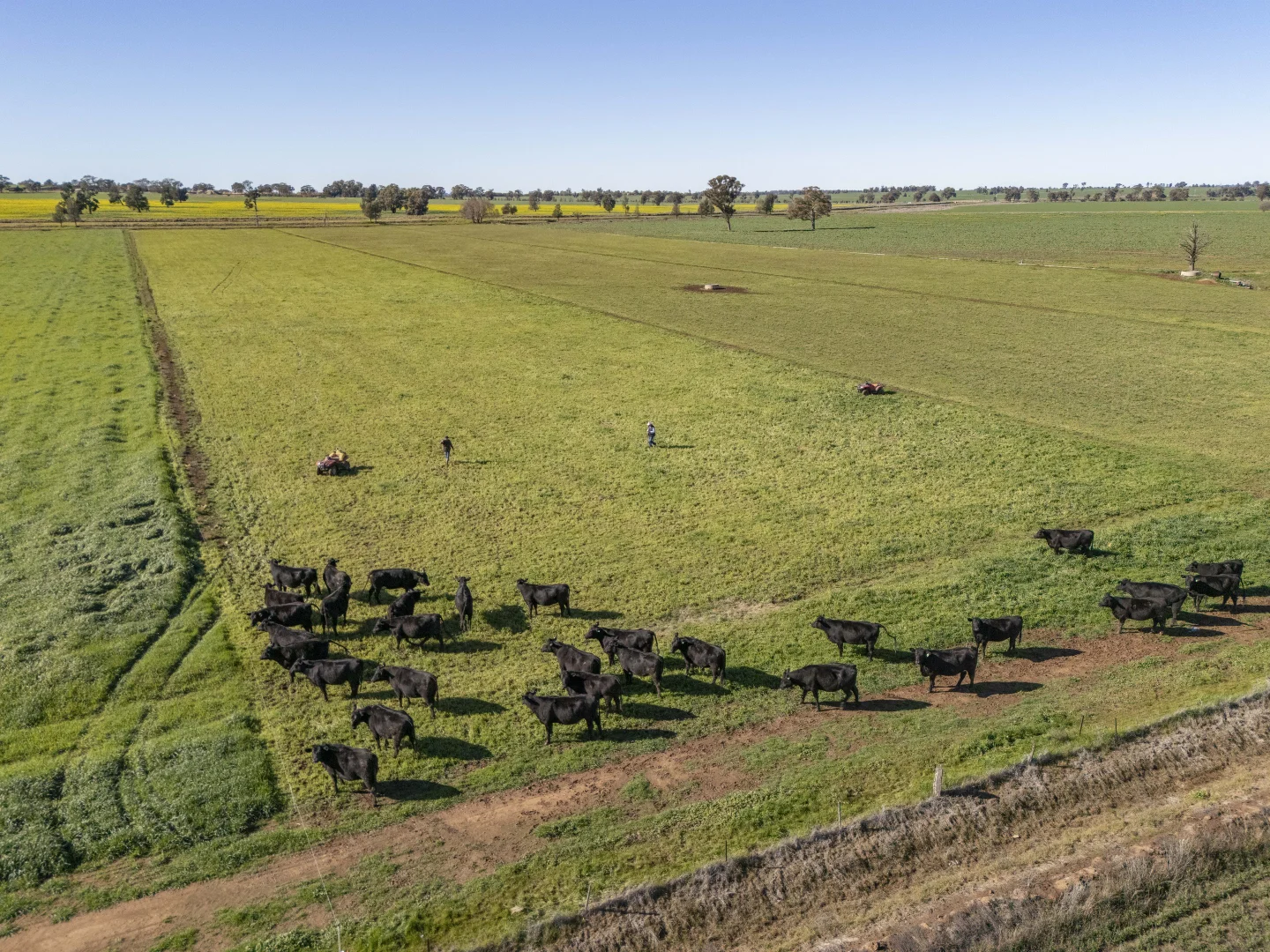 Additional image 25 of 2244 Berrigan Road, Berrigan NSW 2712