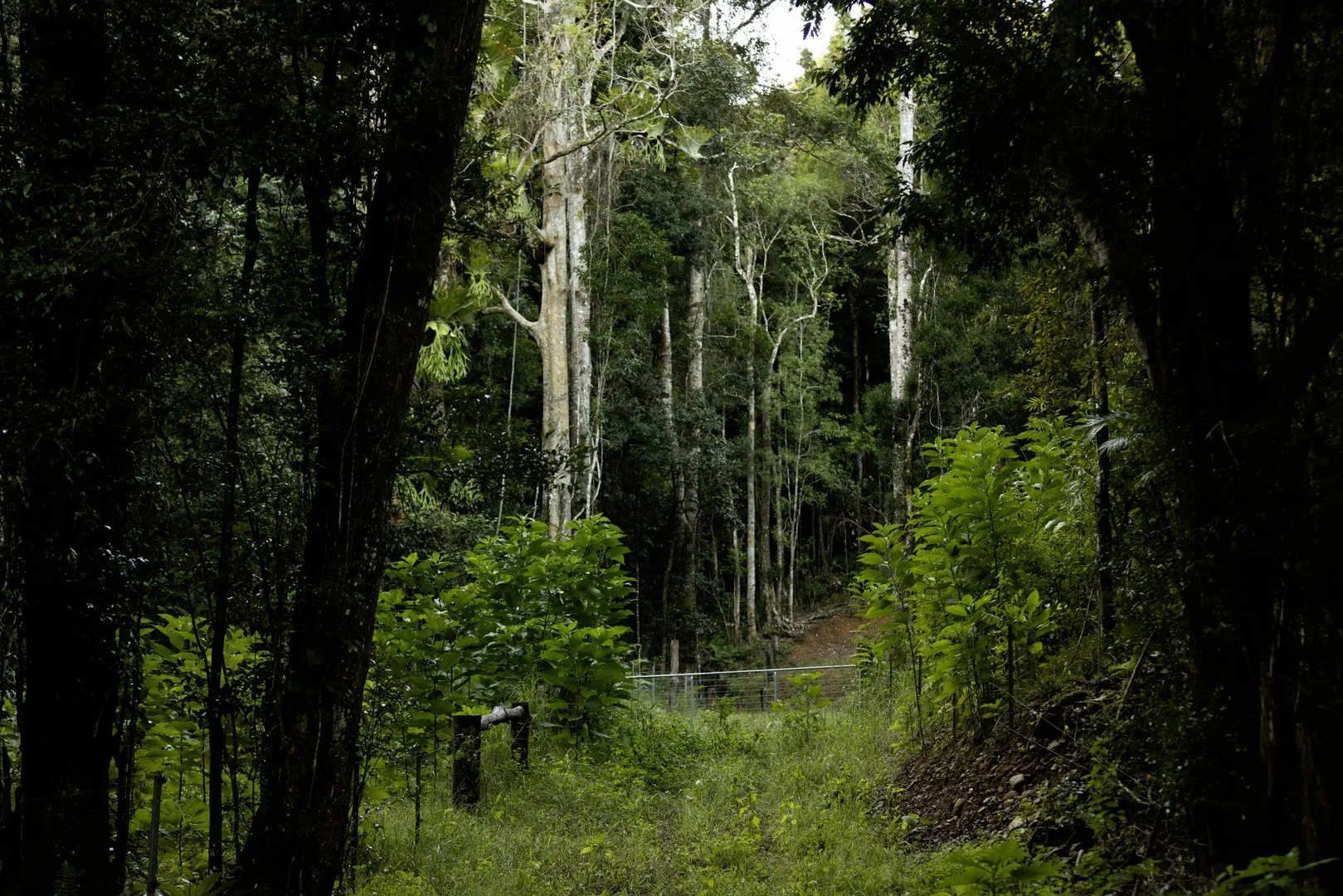 Additional image 4 of 492 River Road, Peachester QLD 4519