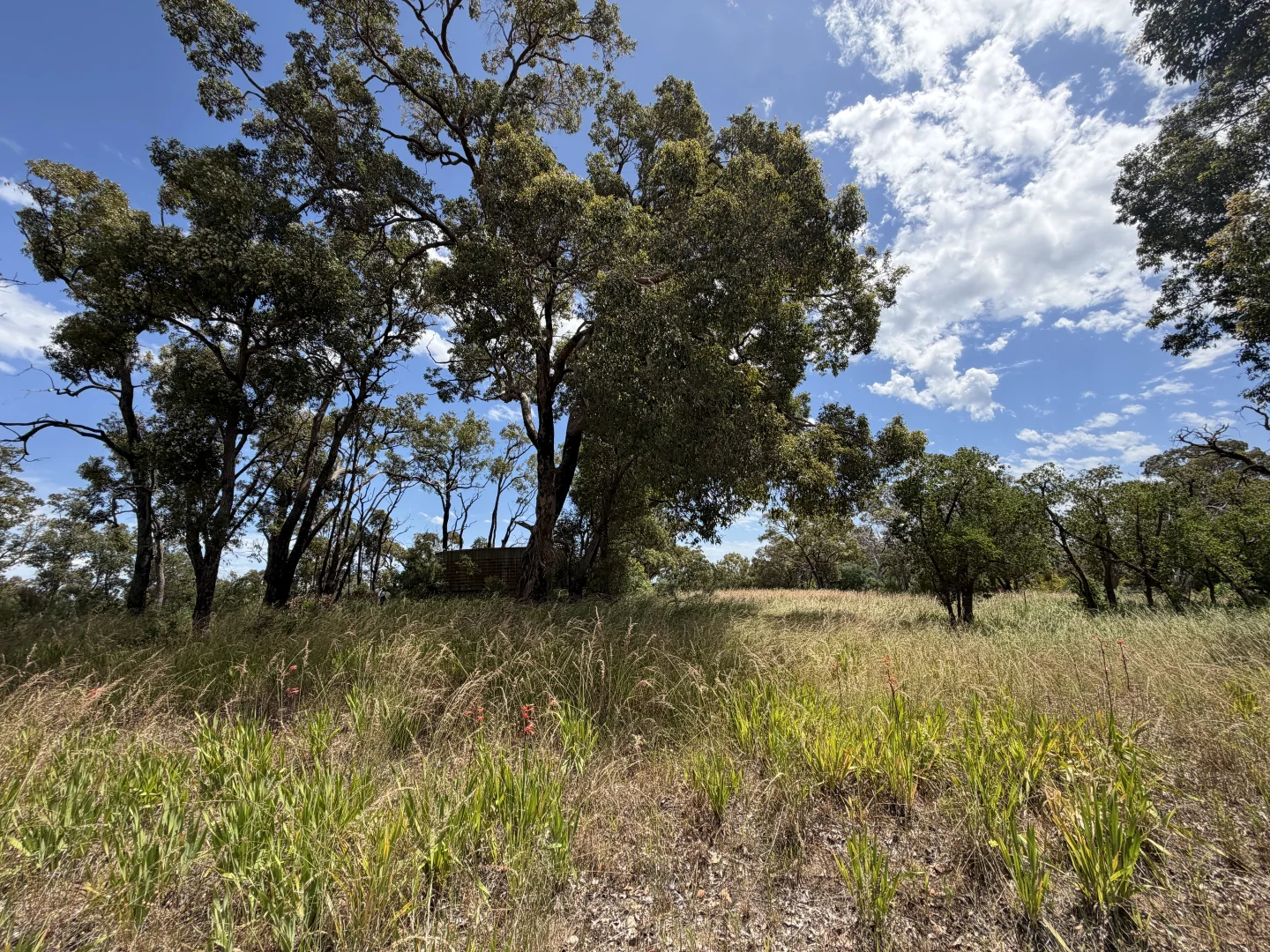 Additional image 7 of Lot 9003 Barrington Knight Road, Yarloop WA 6218