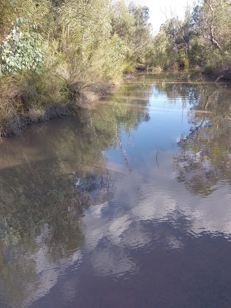 Additional image 18 of Lots 1 & N Yagaburne-Boondandilla Road, Boondandilla QLD 4406