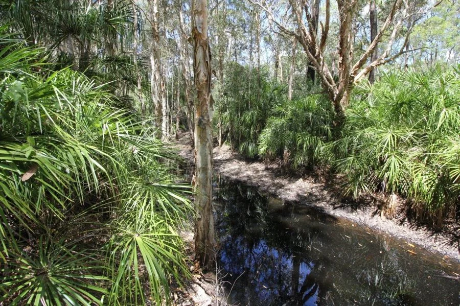 Additional image 17 of 9 Coe Road, Deepwater QLD 4674