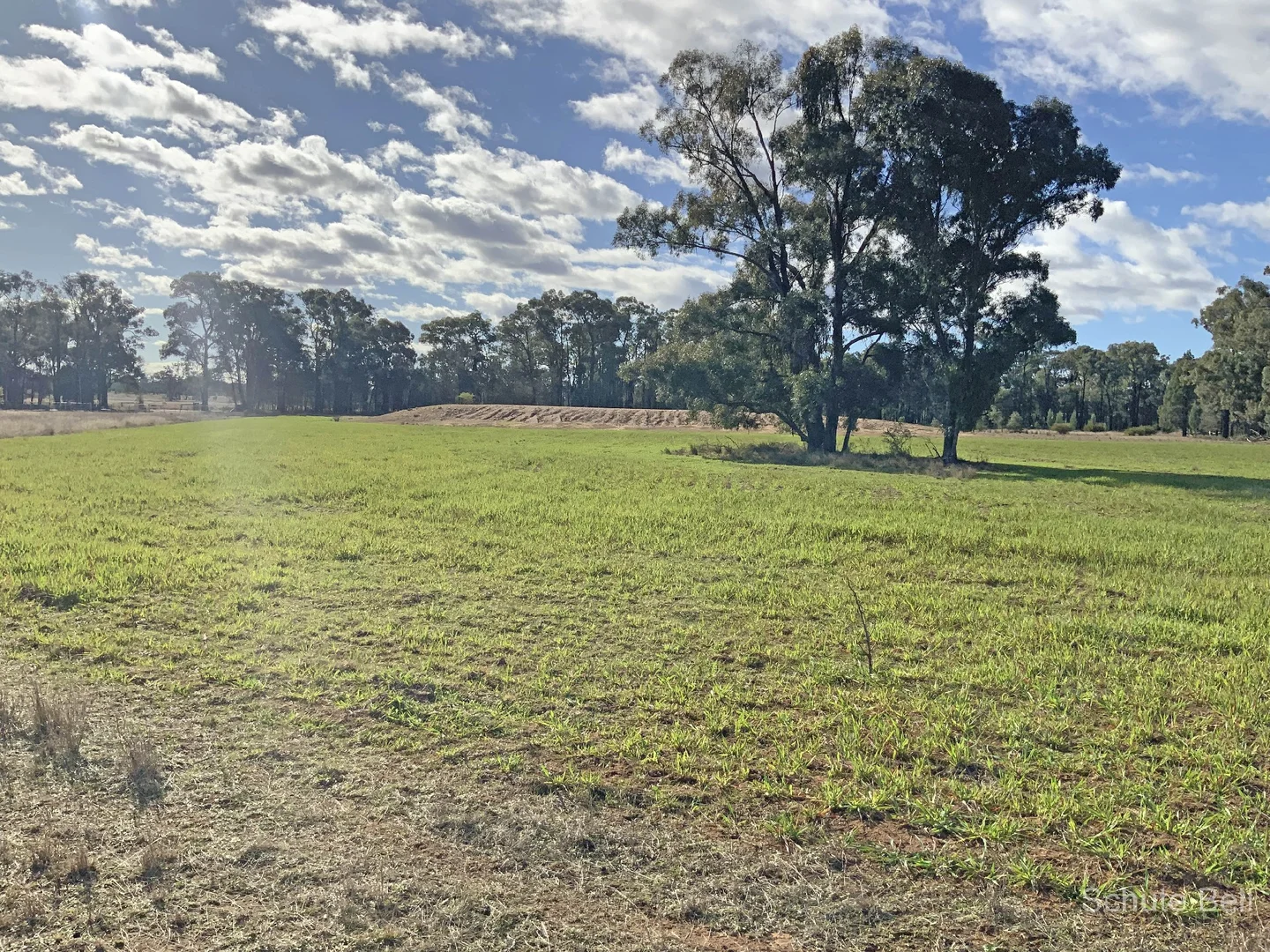 Additional image 2 of 71R Maiala Rd, Eumungerie NSW 2822