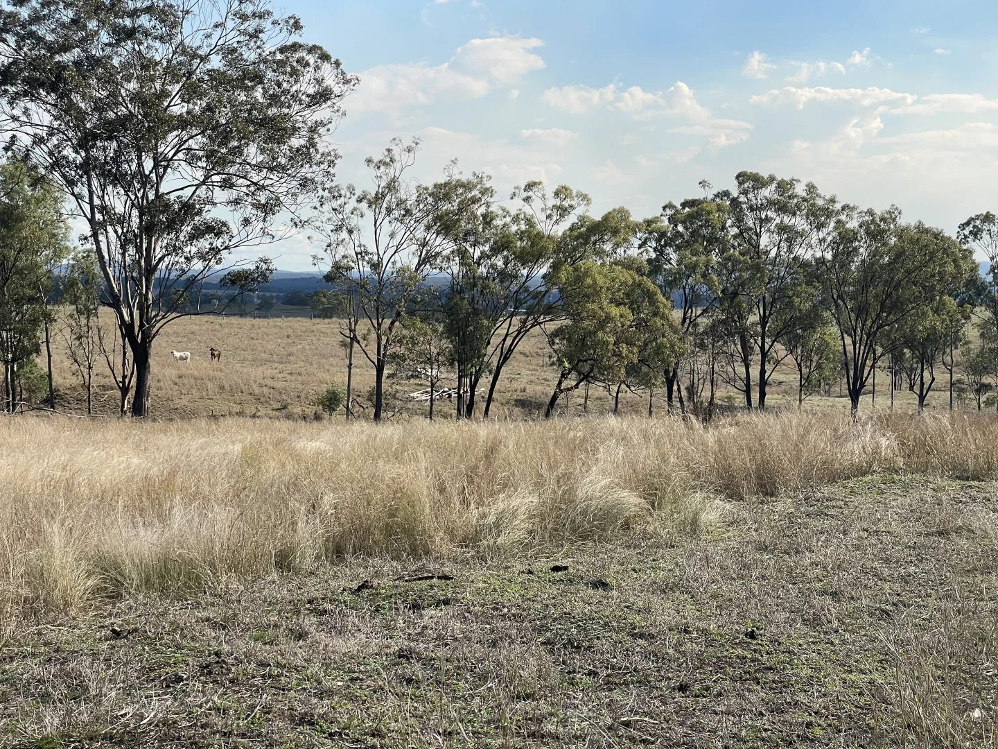 Additional image 5 of 95 Mount Perry Road, Tellebang QLD 4630