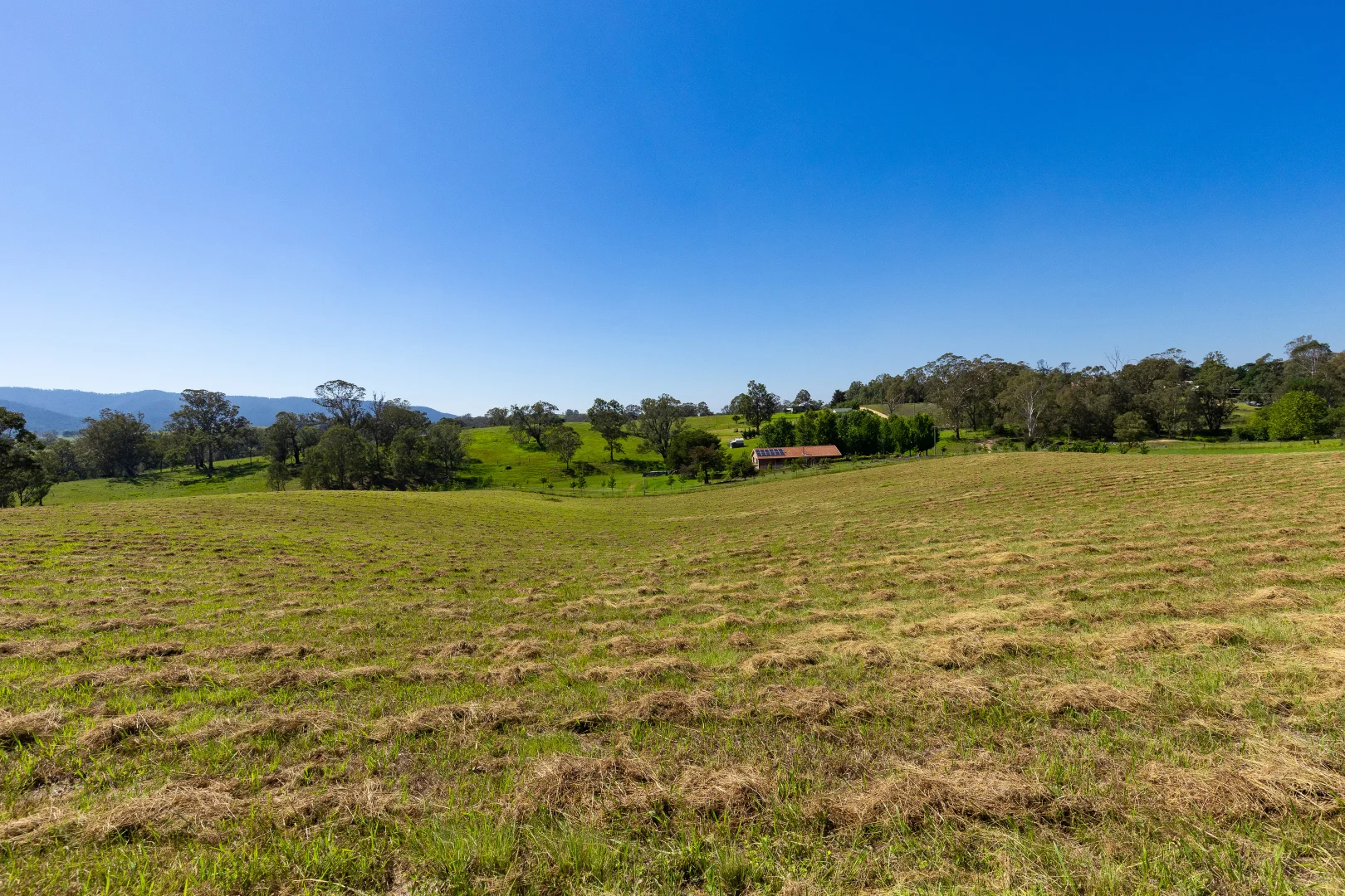 Additional image 12 of 1 Geraghty Street, Bemboka NSW 2550