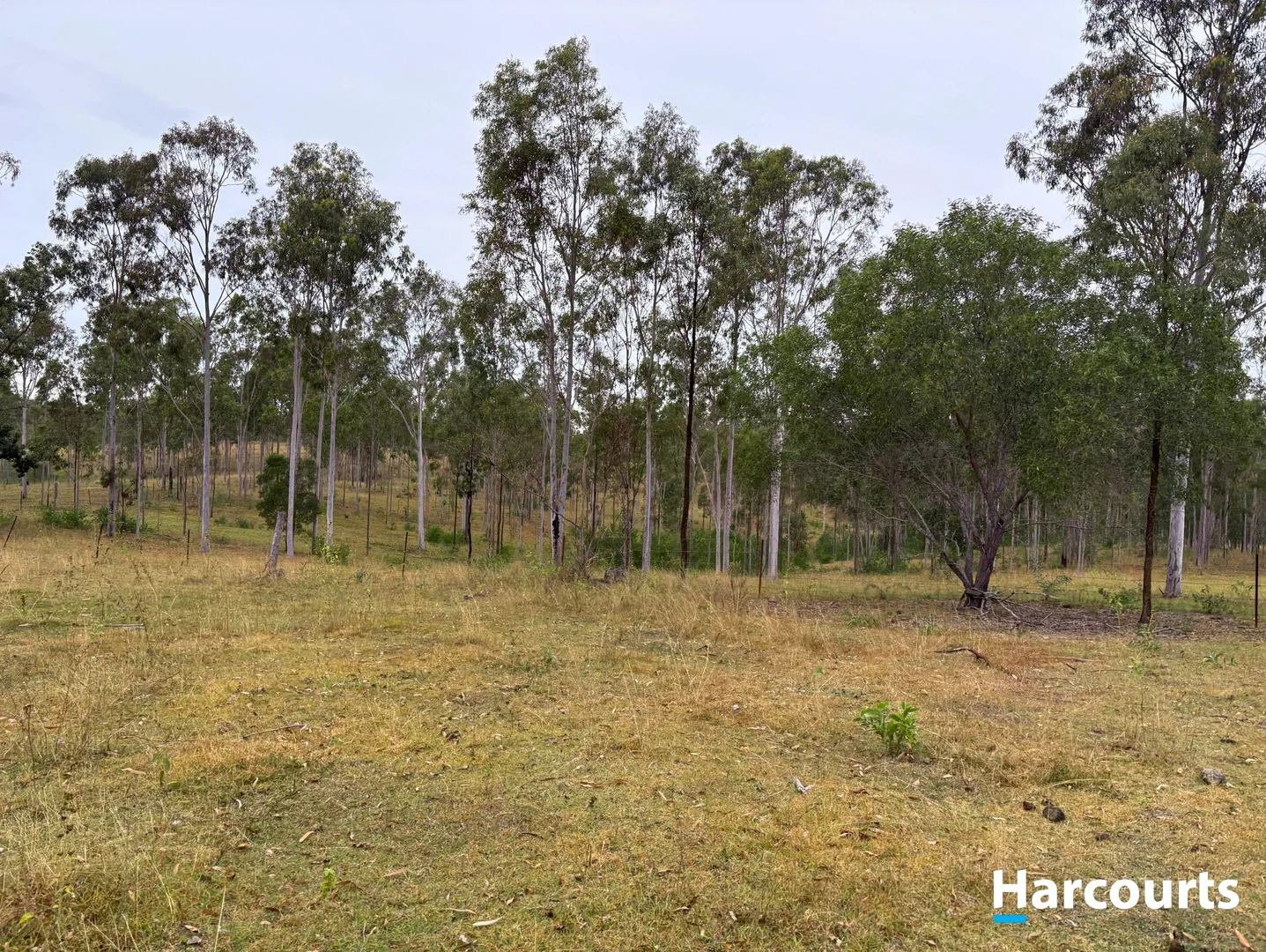 Additional image 14 of Lot 38 TENNINGERING ROAD, Good Night QLD 4671