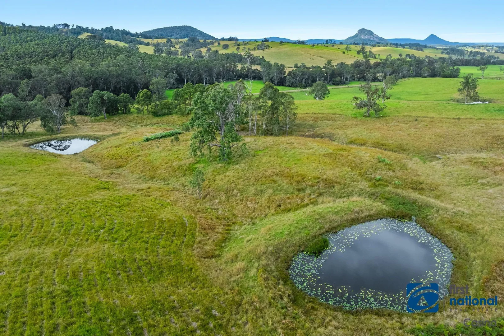 Additional image 6 of 1212 Beaury Creek Road, Urbenville NSW 2475