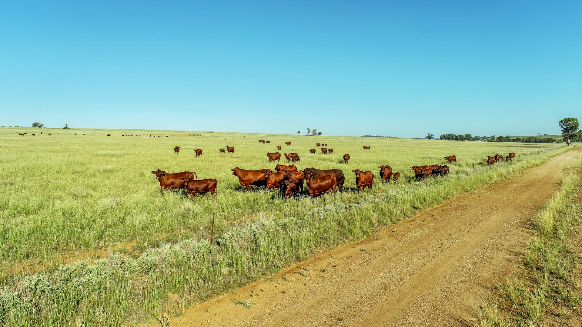 Additional image 23 of 23r Mitchell Creek Road, Dubbo NSW 2830