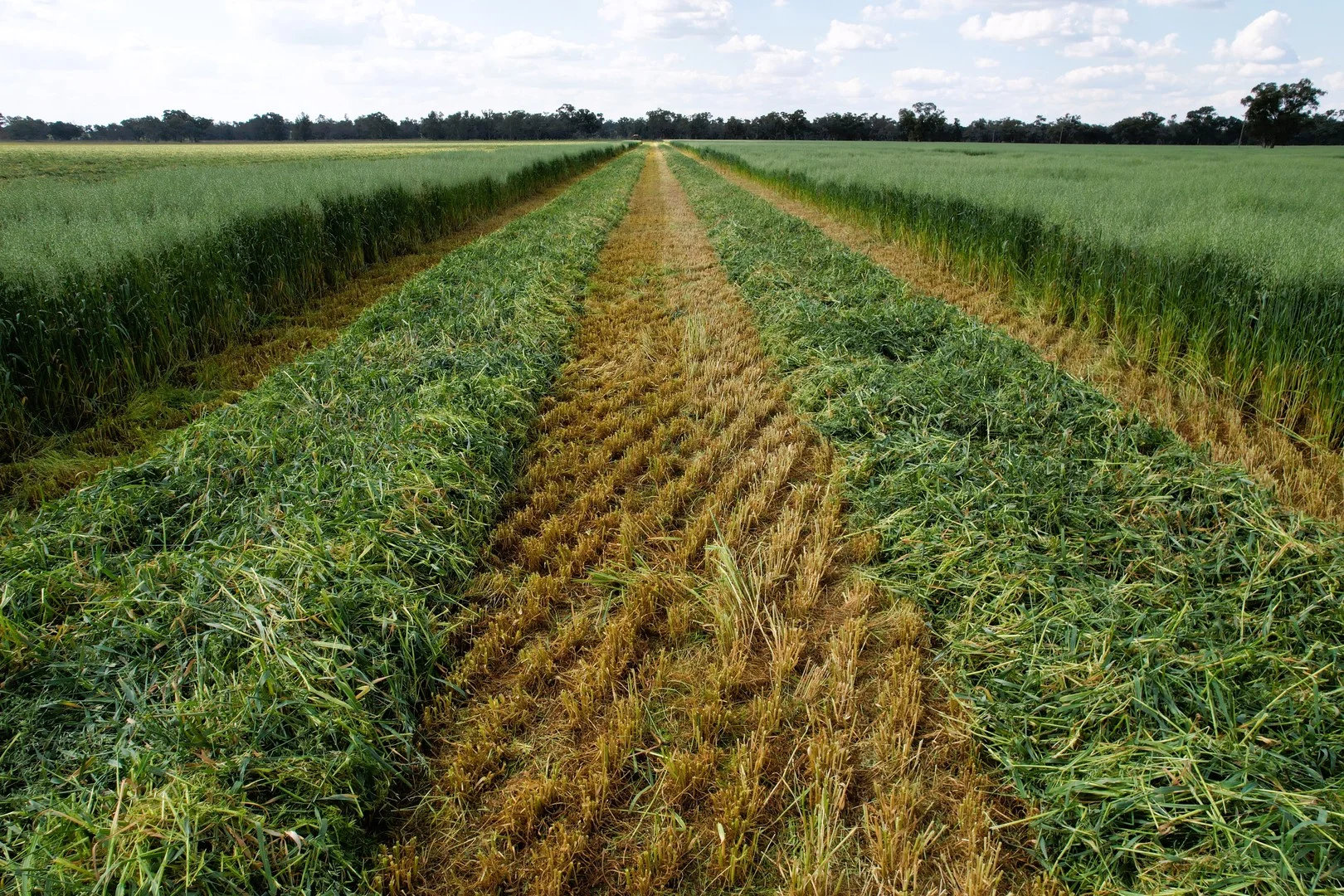 Additional image 13 of 1715 The Bogan Way, Forbes NSW 2871