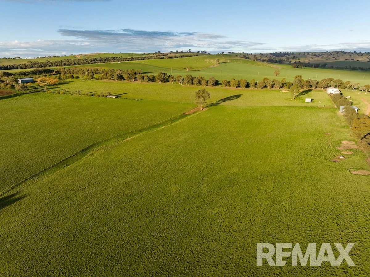 Additional image 5 of 880 Pattersons Road, Harefield NSW 2650