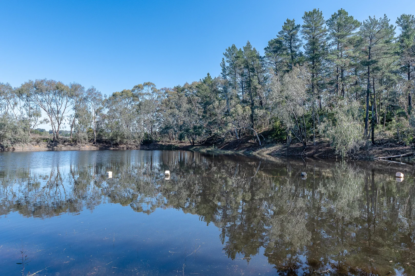 Additional image 7 of Lot 201 Tiers Road, Lenswood SA 5240