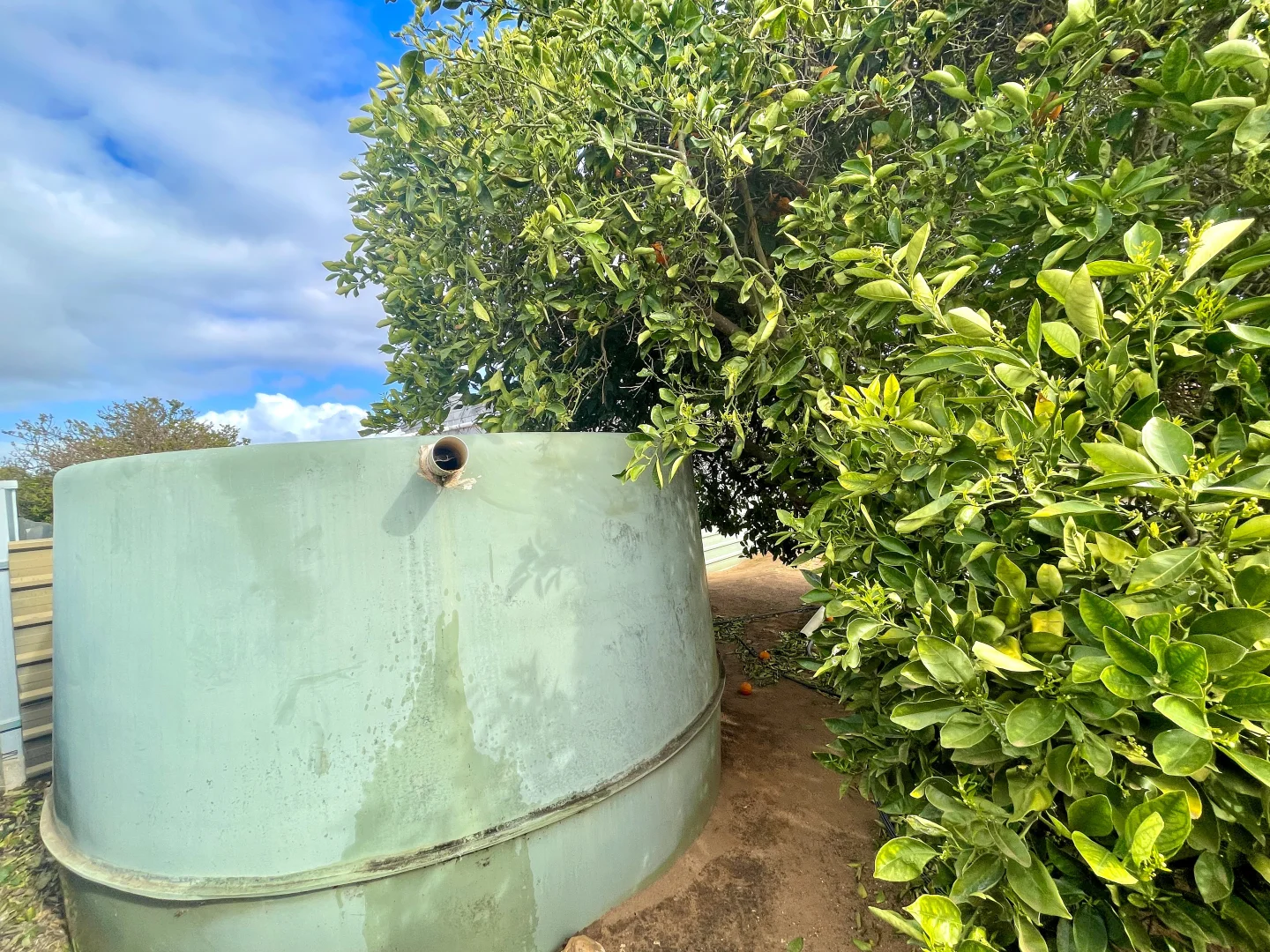 Additional image 27 of 3 Oswald Street, Wudinna SA 5652