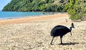 Additional image 7 of 47 Bulguru Drive, Etty Bay QLD 4858