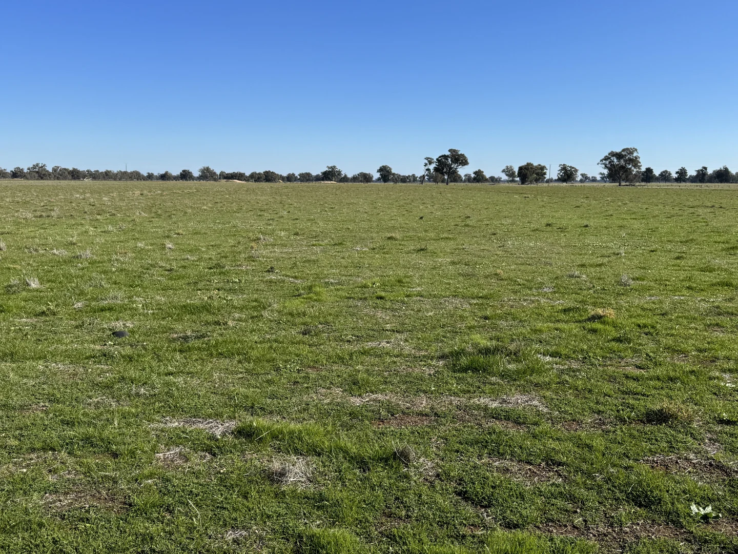 Additional image 23 of Berrigan Oaklands Road, Berrigan NSW 2712