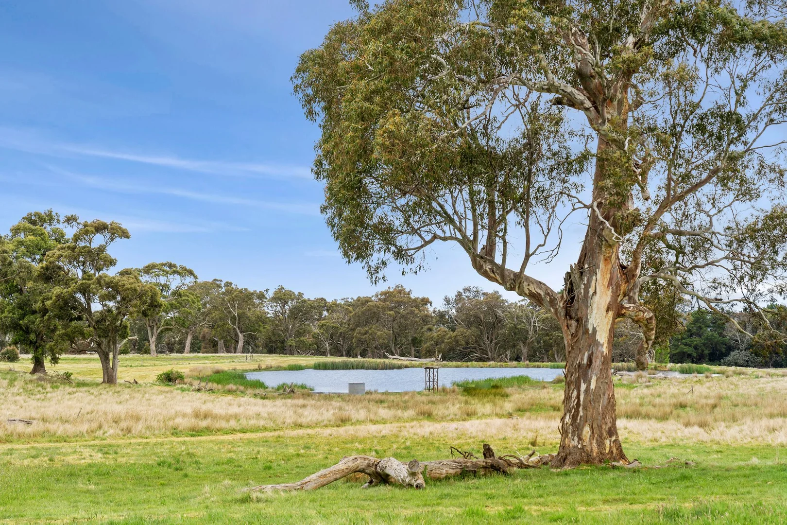 Additional image 3 of 1067 Rochford Road, Newham VIC 3442