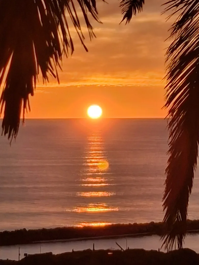 Additional image 8 of 1A Protector Street, O'Sullivan Beach SA 5166