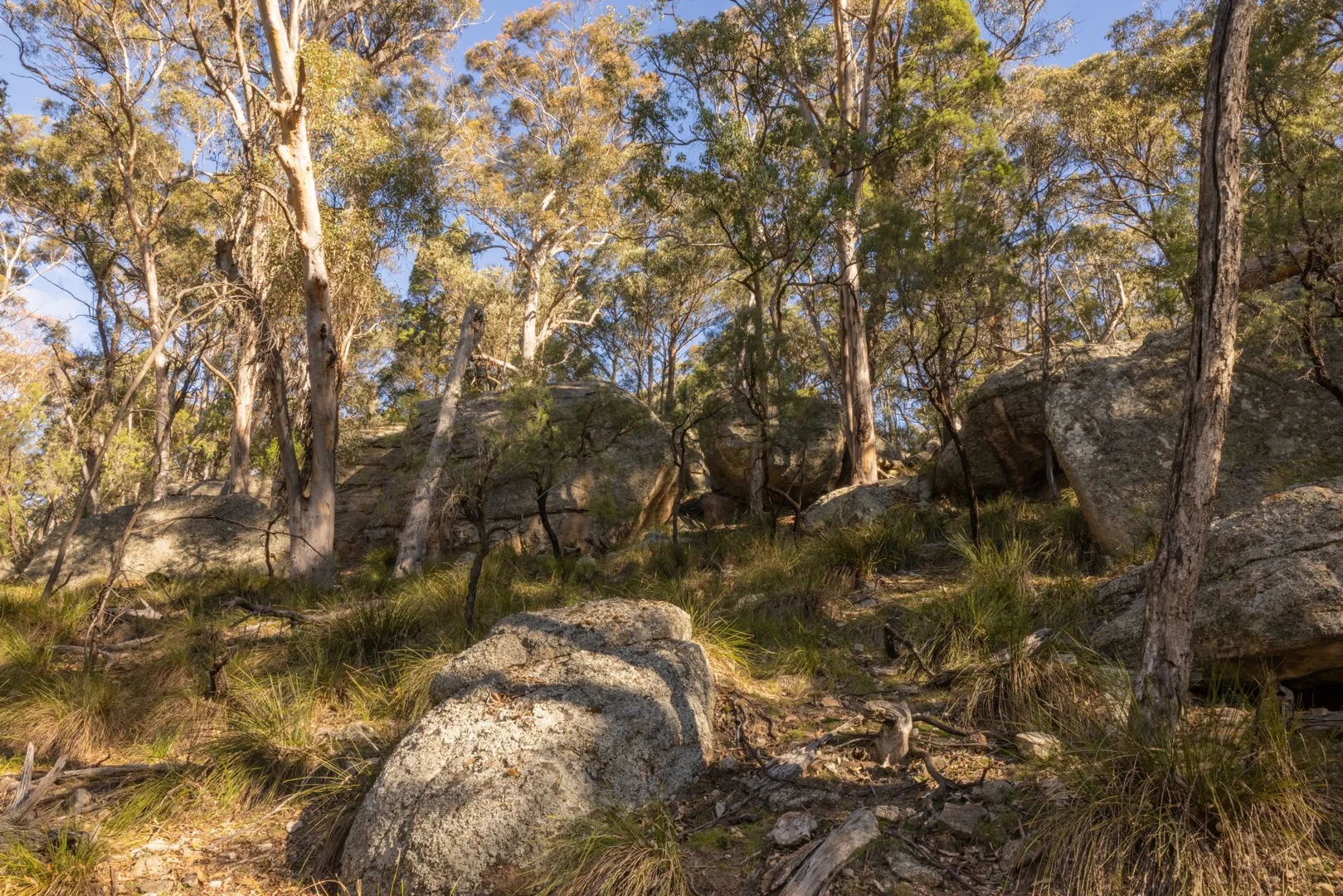 Additional image 4 of 318 White Cedars Road, Mudgee NSW 2850