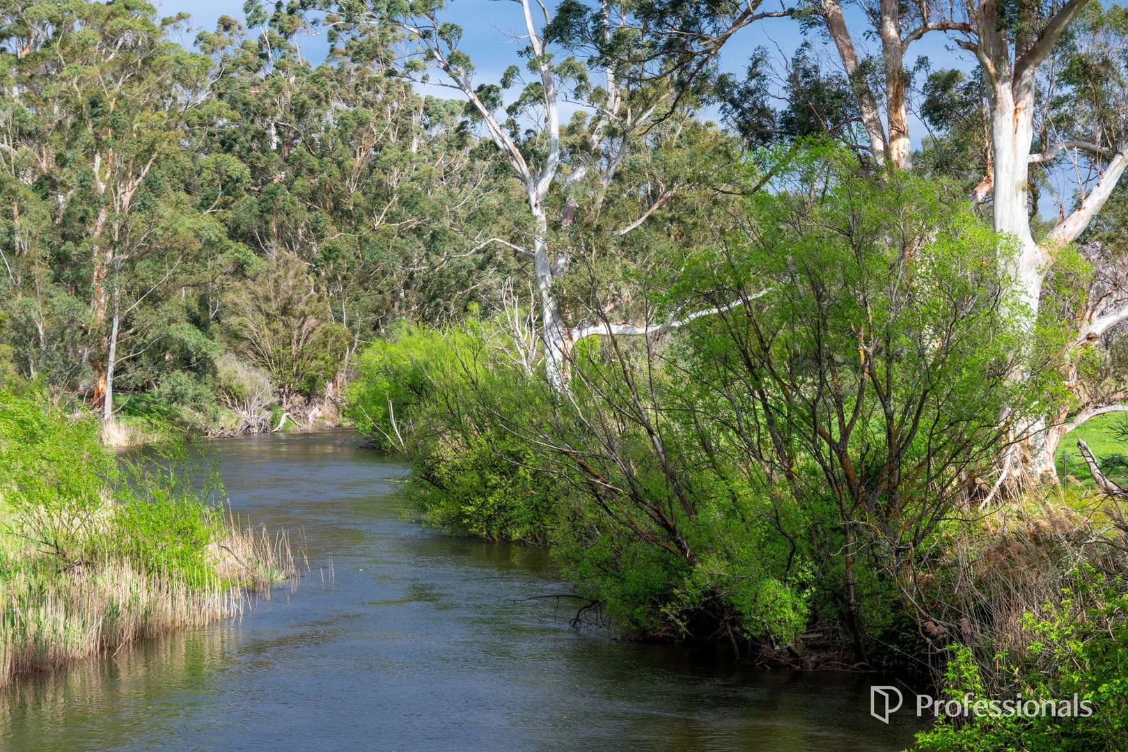 Additional image 5 of 230 Station Road, Wesburn VIC 3799