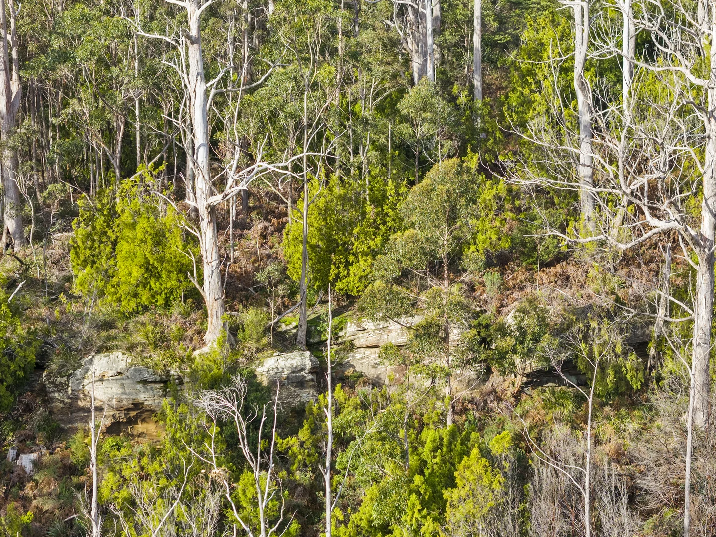 Additional image 9 of Lot 4 Tip Road, Nubeena TAS 7184