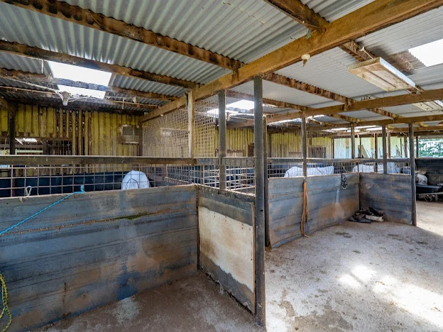 Additional image 32 of 543 Aberbaldie road, Walcha NSW 2354