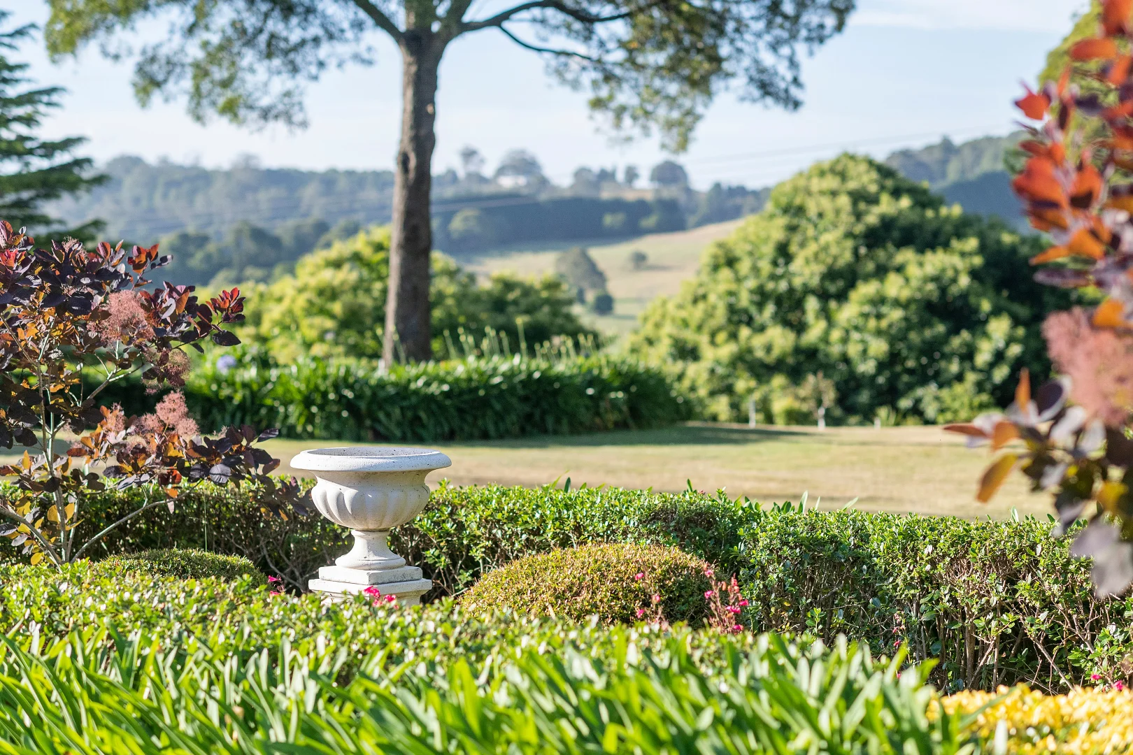 Additional image 22 of 192 Pearsons Lane, Robertson NSW 2577