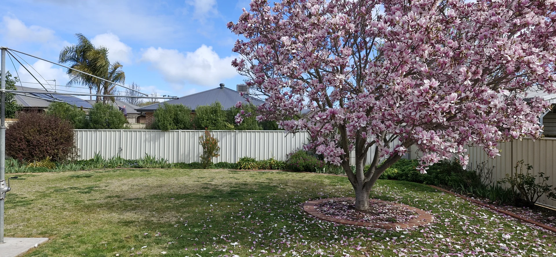 Additional image 33 of 20 Hopetoun Street, Rochester VIC 3561