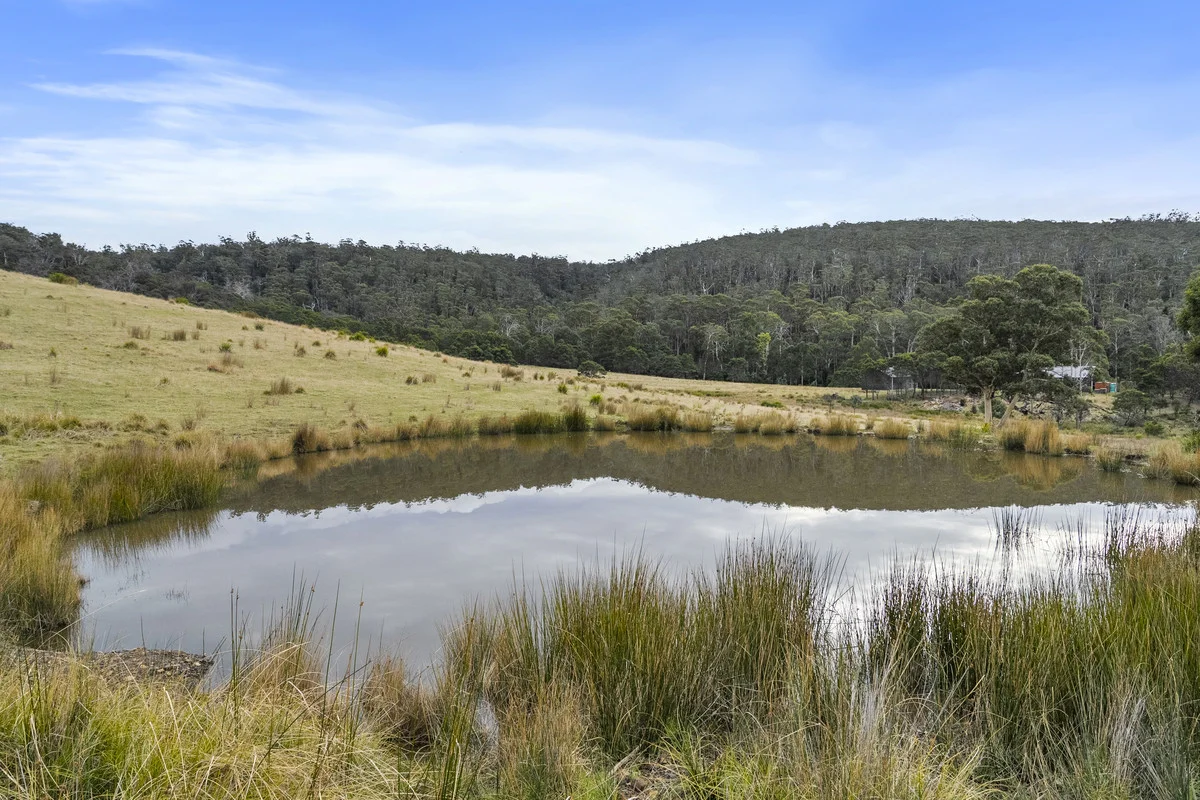 Additional image 10 of 1 & 2 Bresnehans Road, Little Swanport TAS 7190