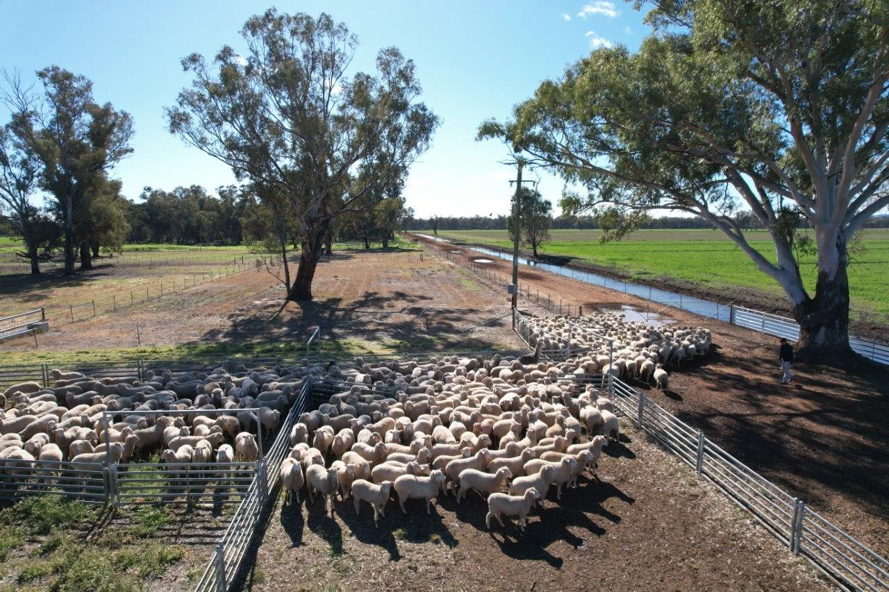 Additional image 38 of 8065 Lachlan Valley Way, Forbes NSW 2871