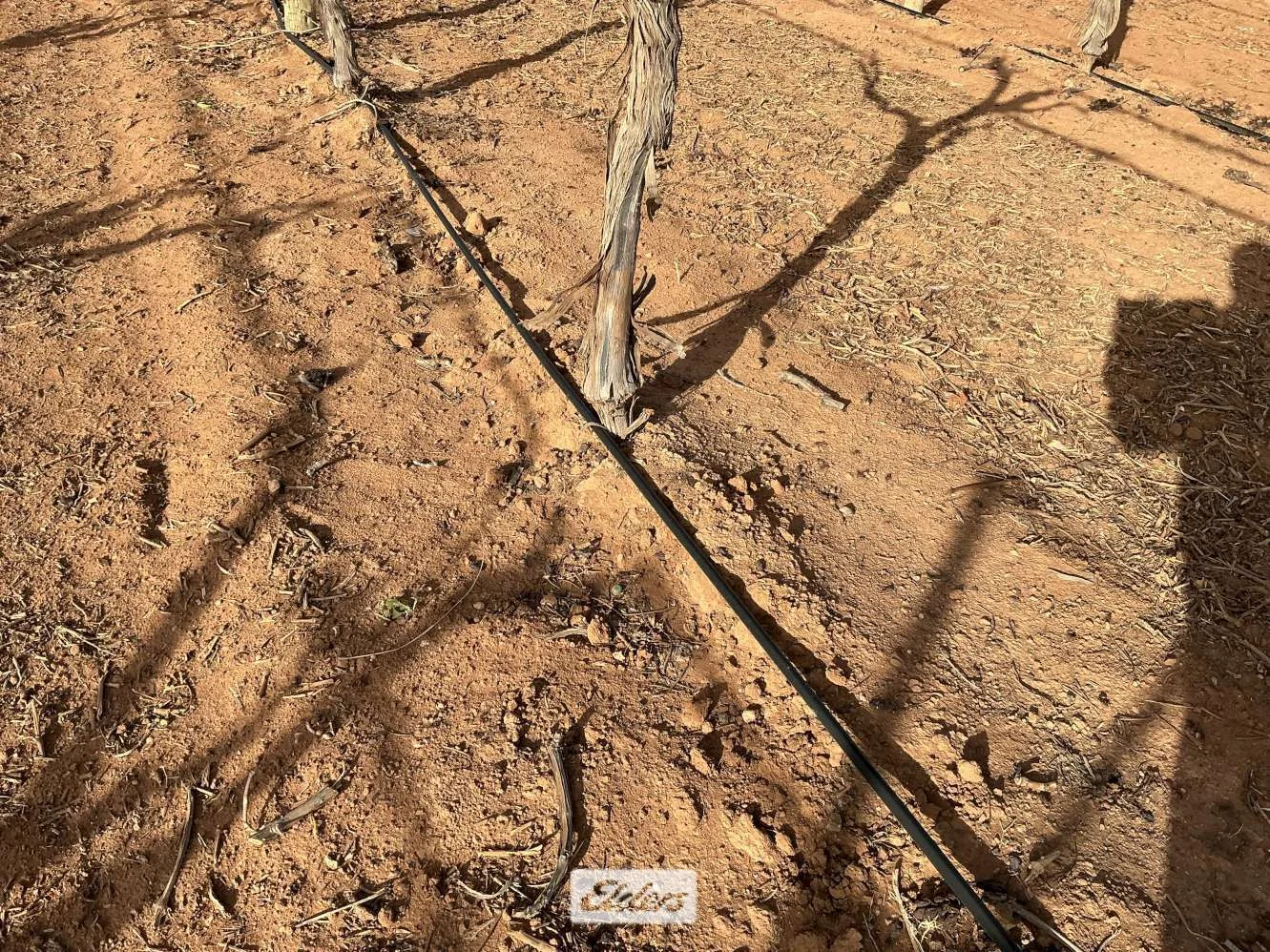 Additional image 17 of 221 & 245 Cowanna Avenue, Merbein South VIC 3505