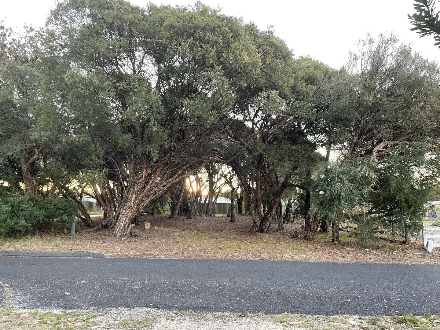 31 Carroll Street, Loch Sport VIC 3851