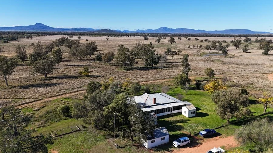 Additional image 2 of 125-291 GOORIANAWA ROAD, Mount Tenandra NSW 2828