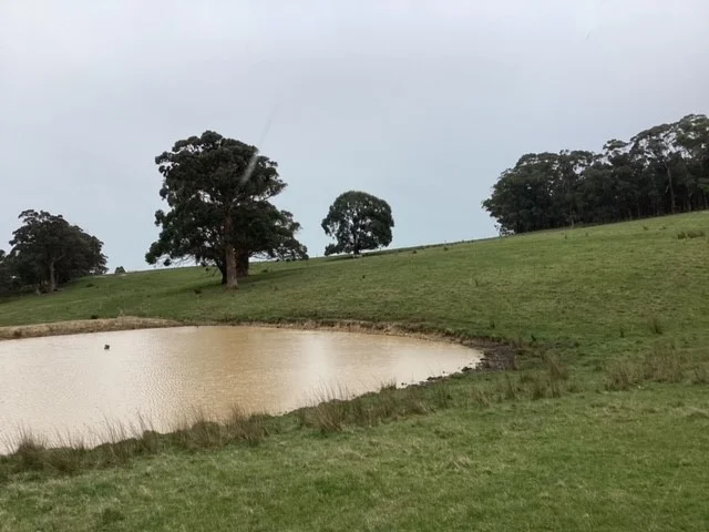 Additional image 7 of 236 Morrisons Lane, Korobeit VIC 3341