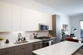 Additional image 17 of 1105 Pleasant St Unit 1-2, Oak Park, IL, 60302