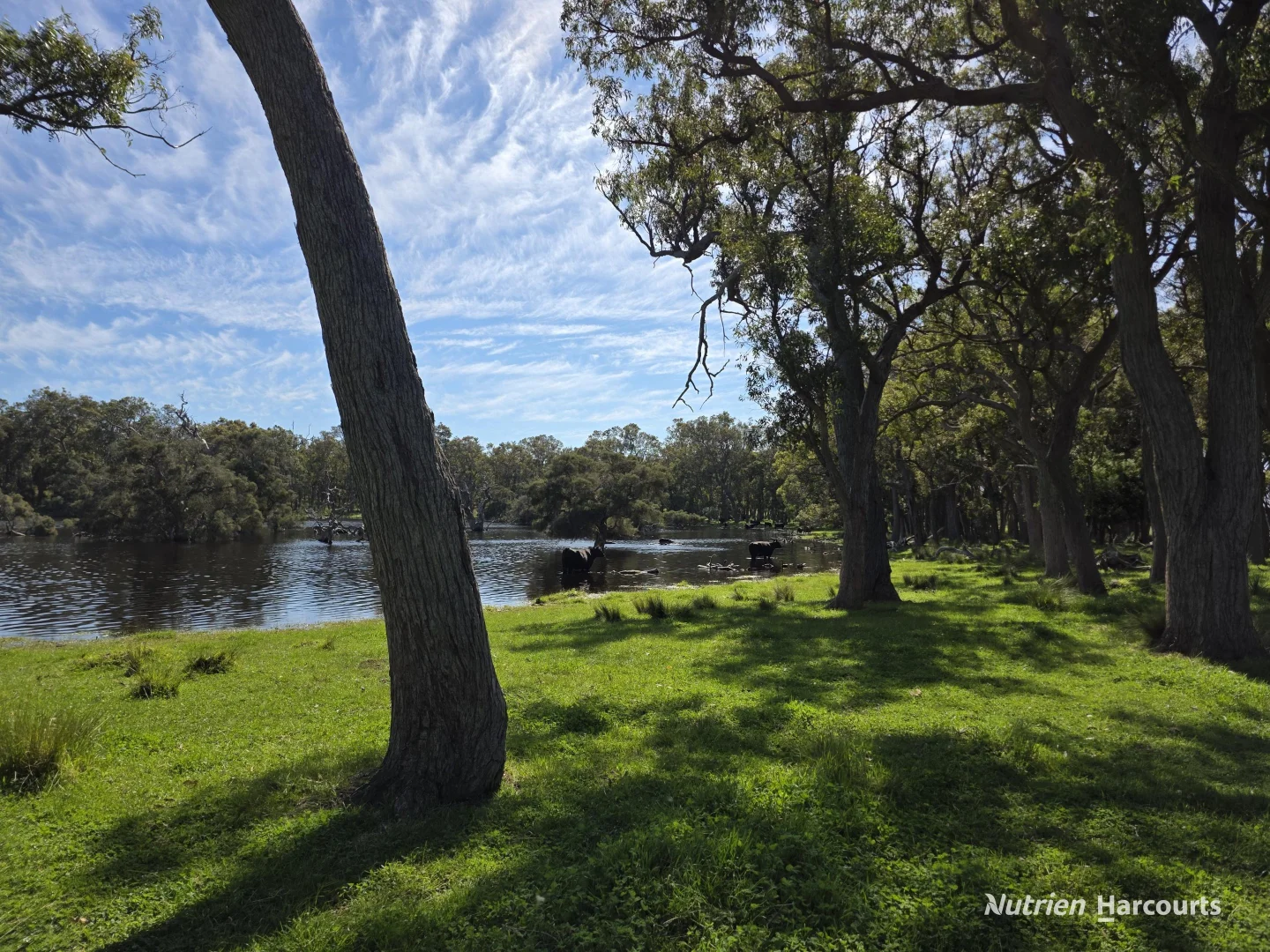 Additional image 2 of 1867 Chester Pass Road, Napier WA 6330