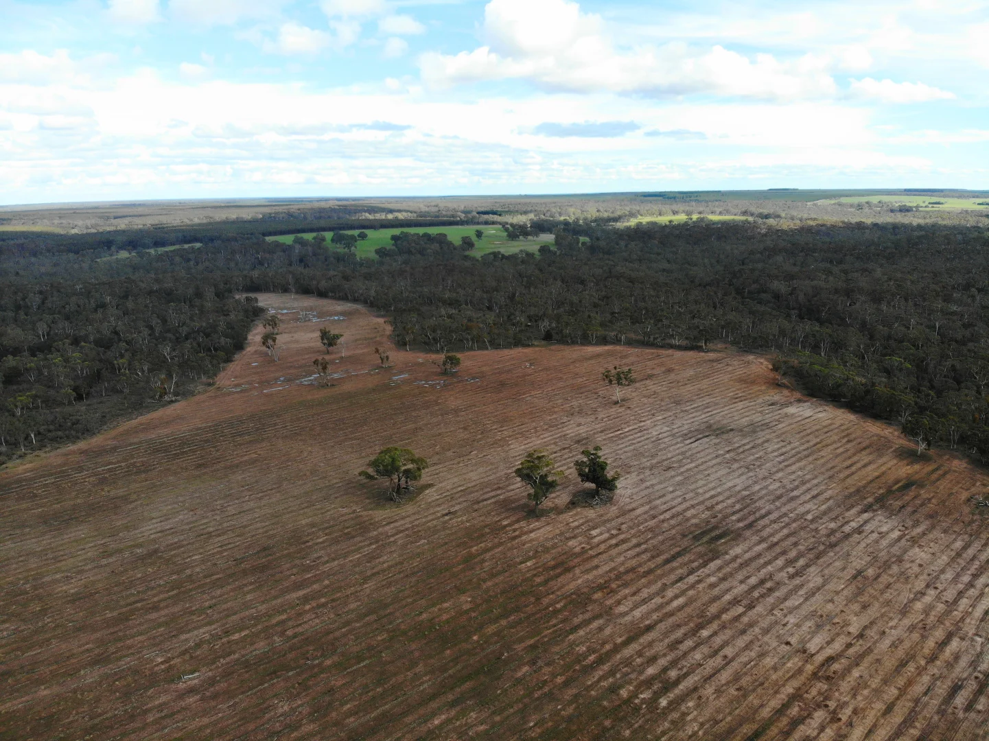 Additional image 10 of Dergholm VIC 3312