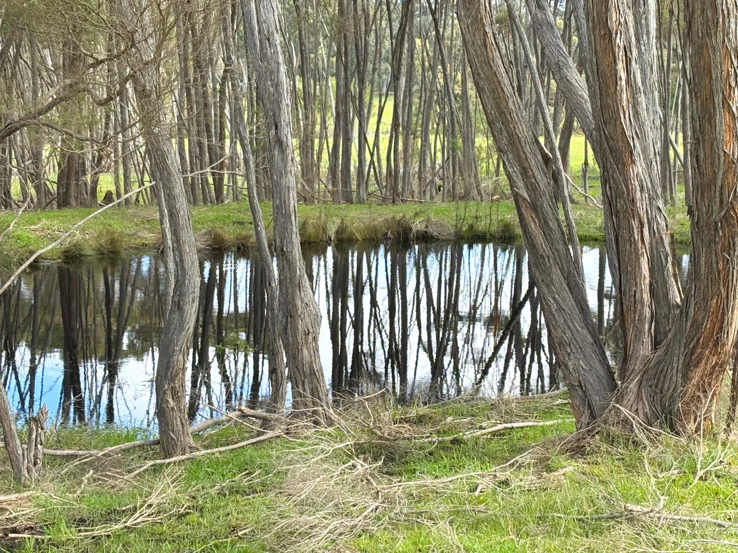 Additional image 6 of 132 Ocean Beach Road, Denmark WA 6333