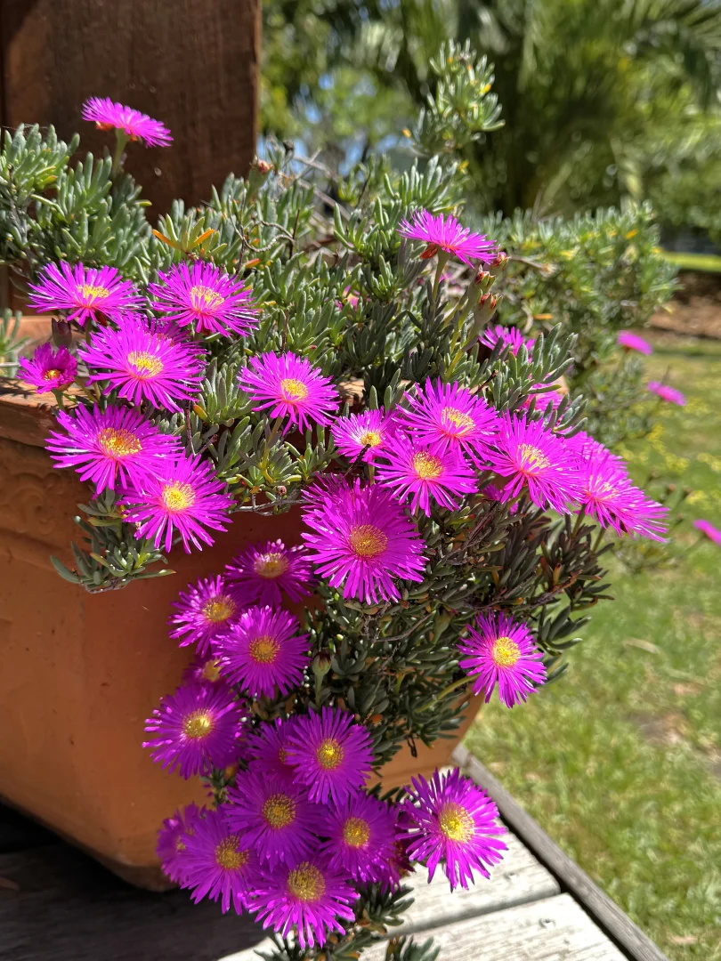 Additional image 18 of 670 Willowite Road, Paraparap VIC 3240