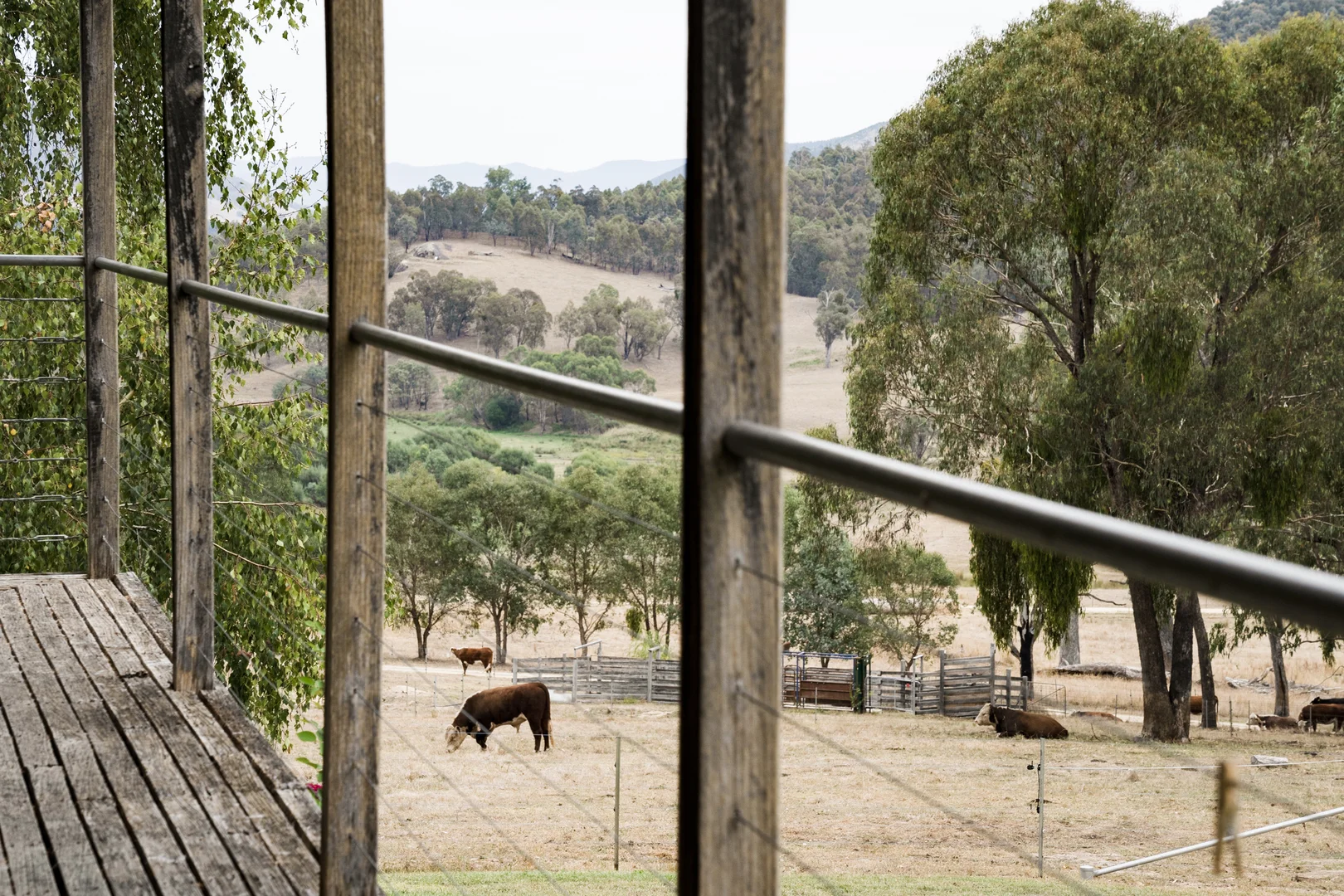 Additional image 24 of 45 Settlers Lane, Myrtleford VIC 3737