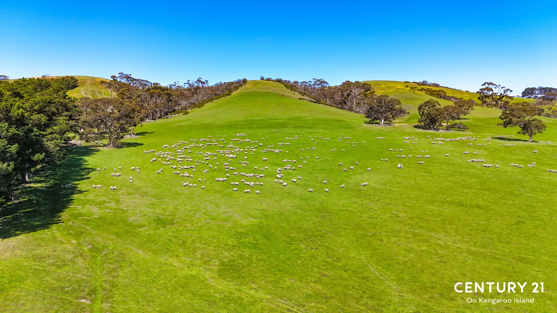 Additional image 19 of 2265 Playford Highway, Kohinoor SA 5223