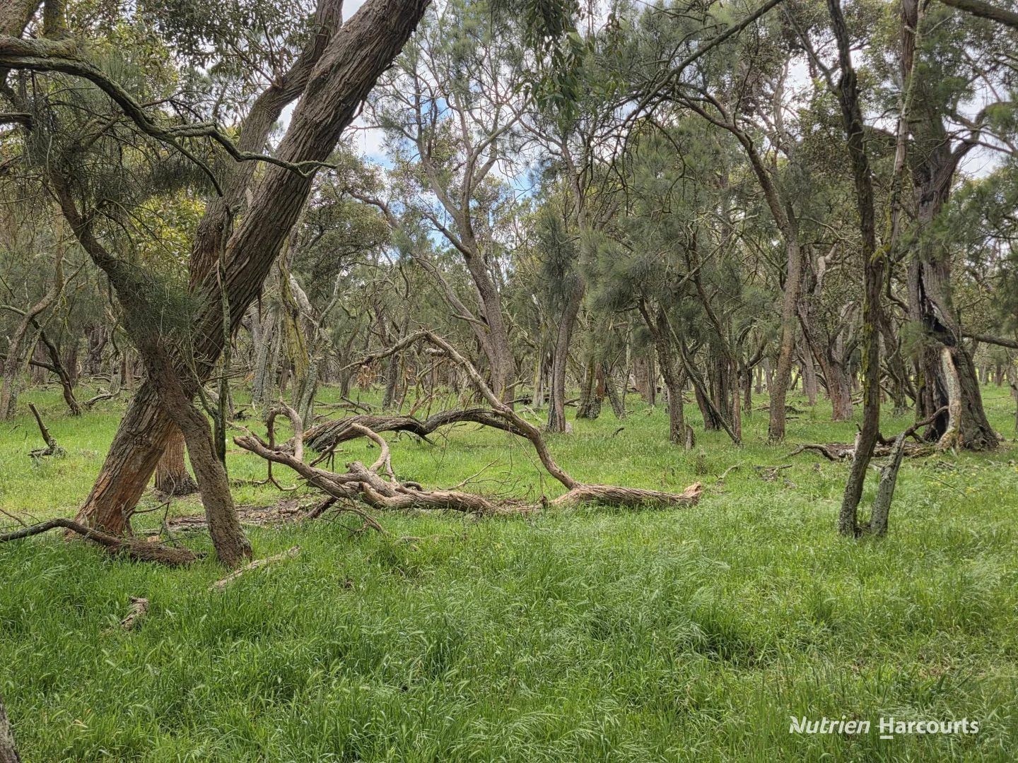 Additional image 13 of 1867 Chester Pass Road, Napier WA 6330